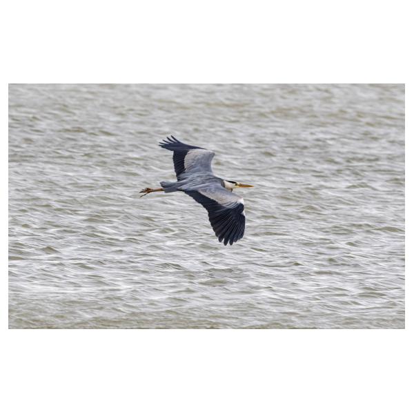 PHOTO84, CLUB, 84 , LUBERON